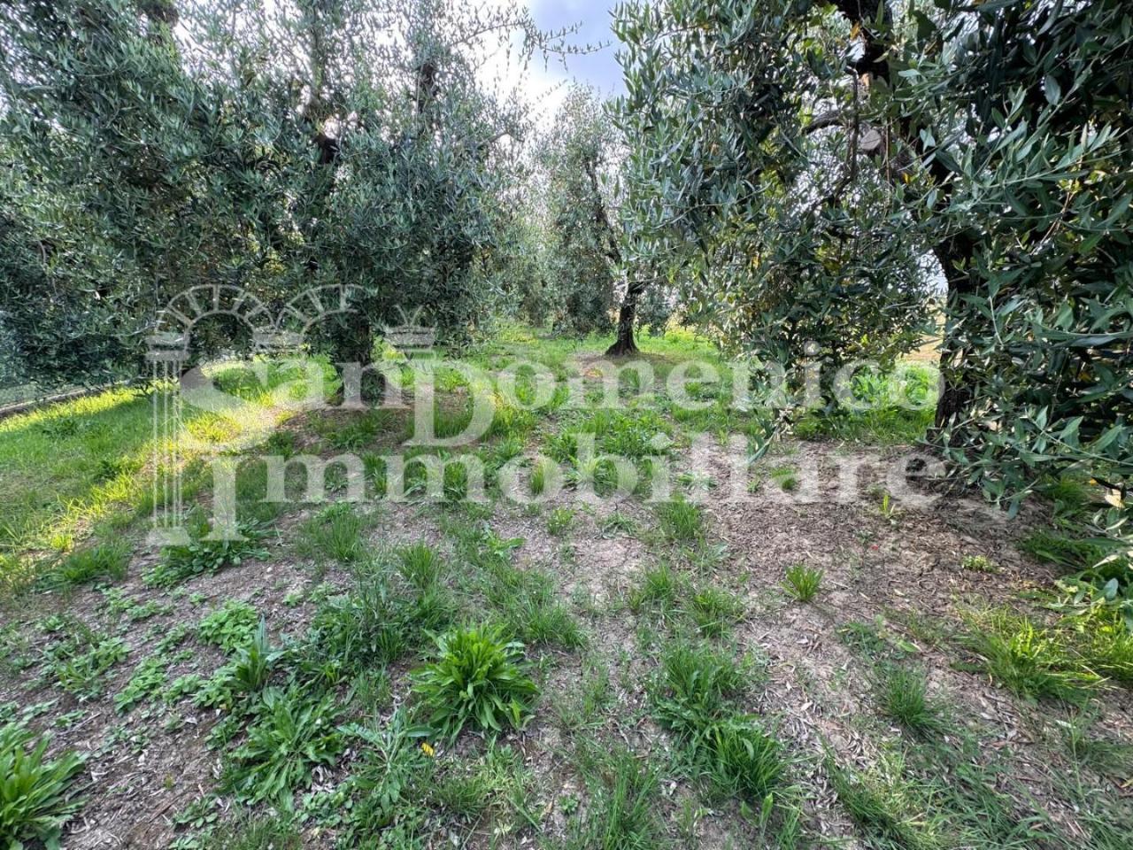 immagine annuncio 1 di 6