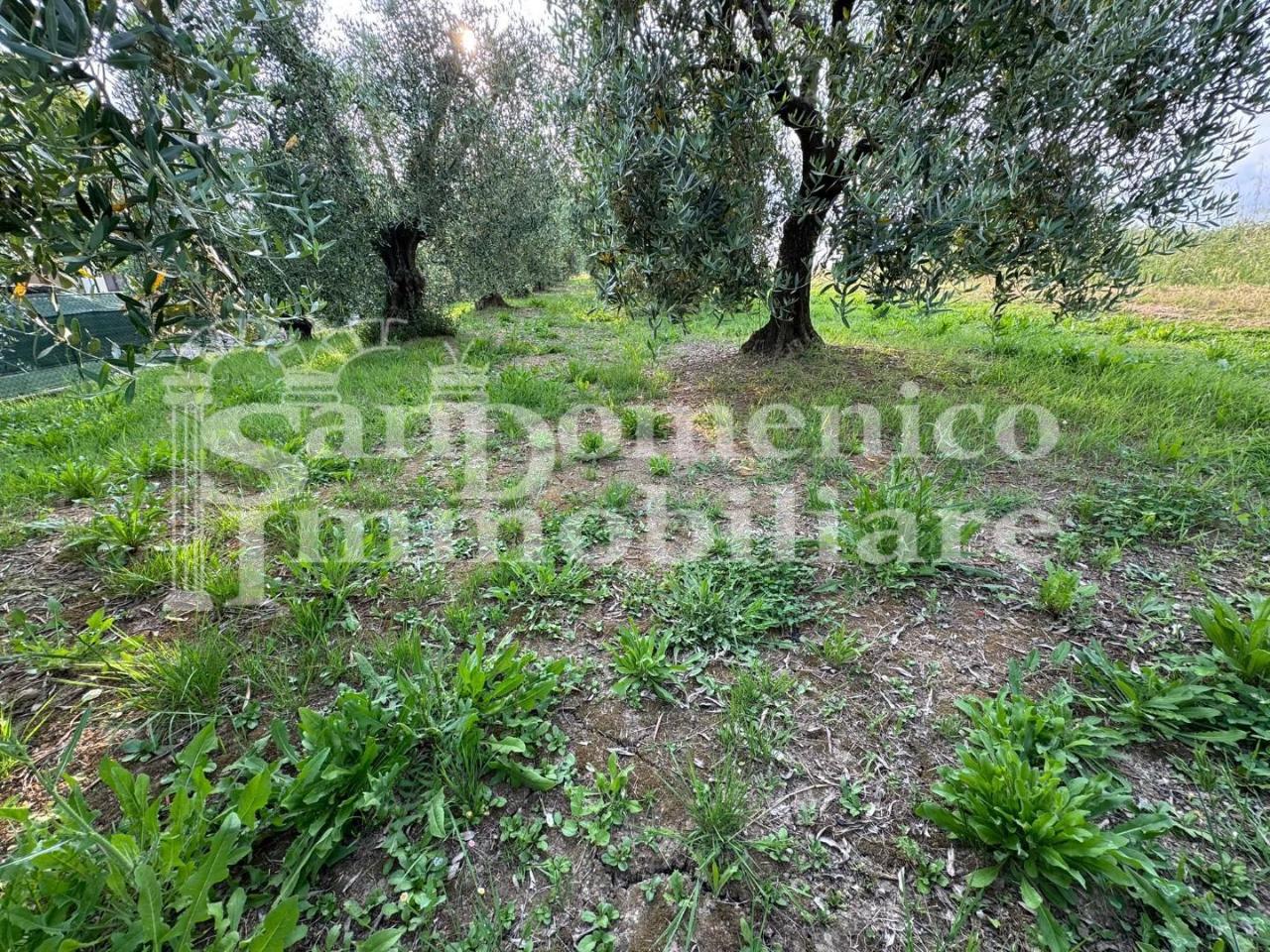 immagine annuncio 2 di 6