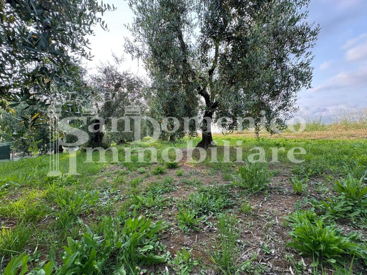 immagine annuncio 4 di 6