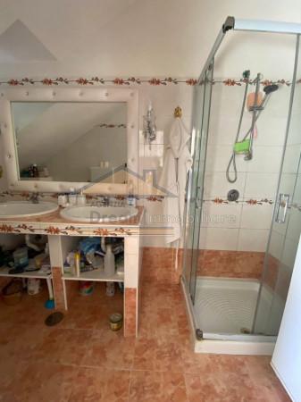 immagine annuncio 10 di 14