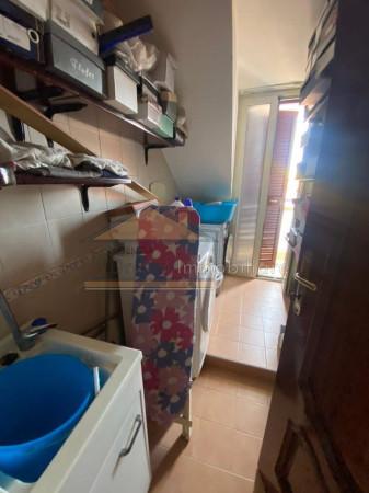 immagine annuncio 11 di 14