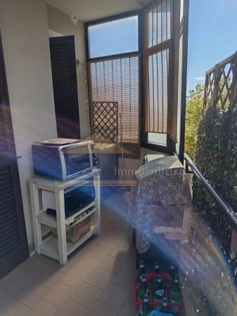 immagine annuncio 5 di 14