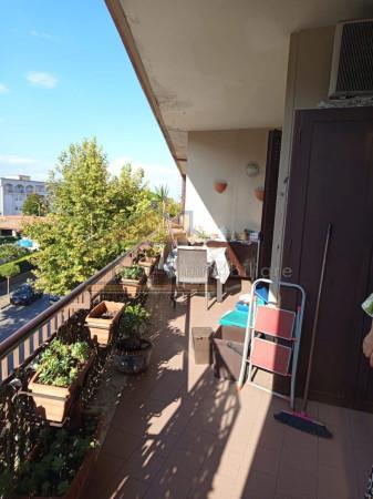 immagine annuncio 6 di 14