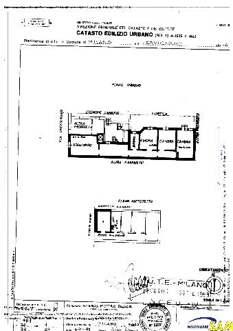 main planimetry real estate image