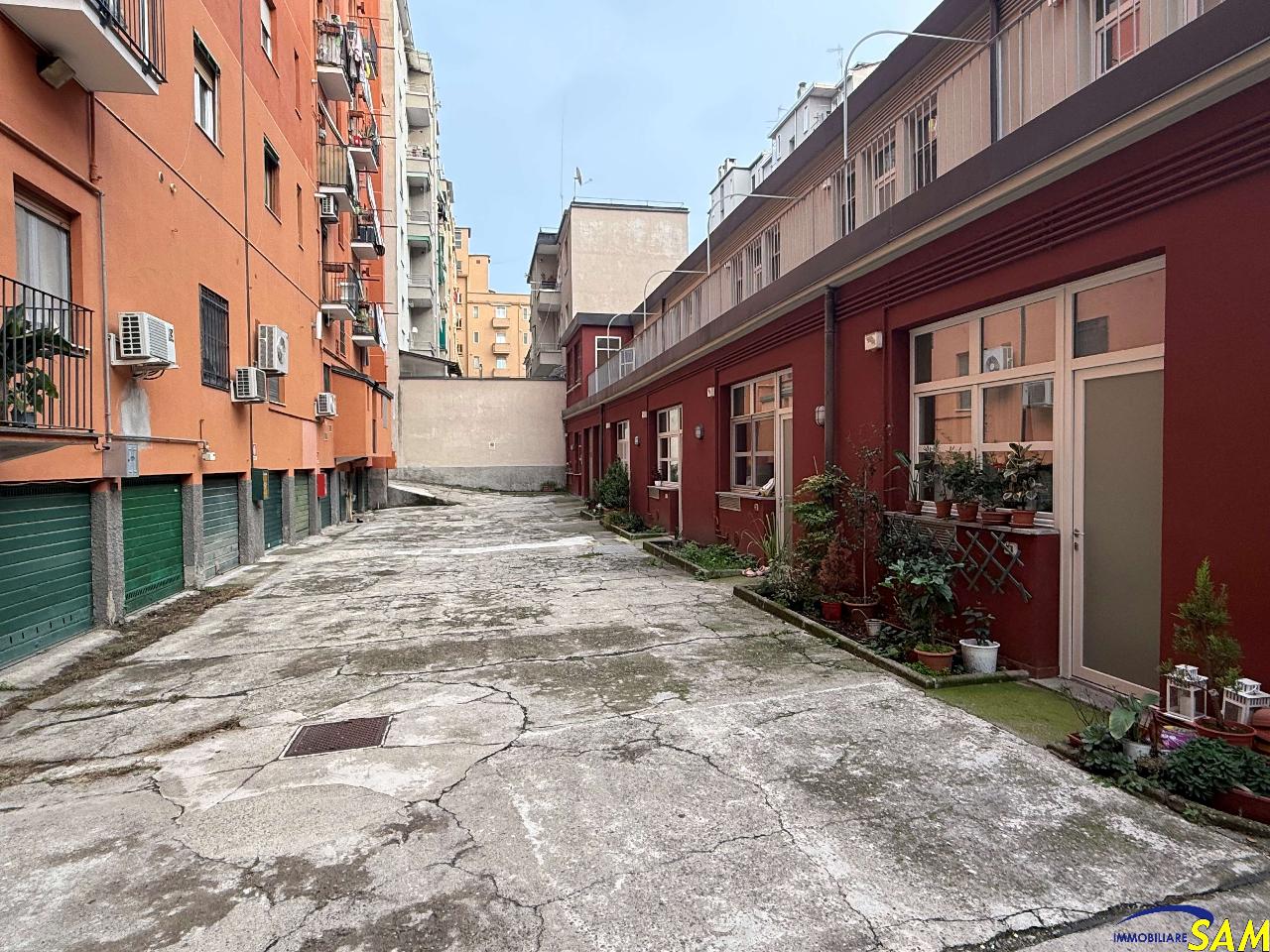 immagine annuncio 11 di 13