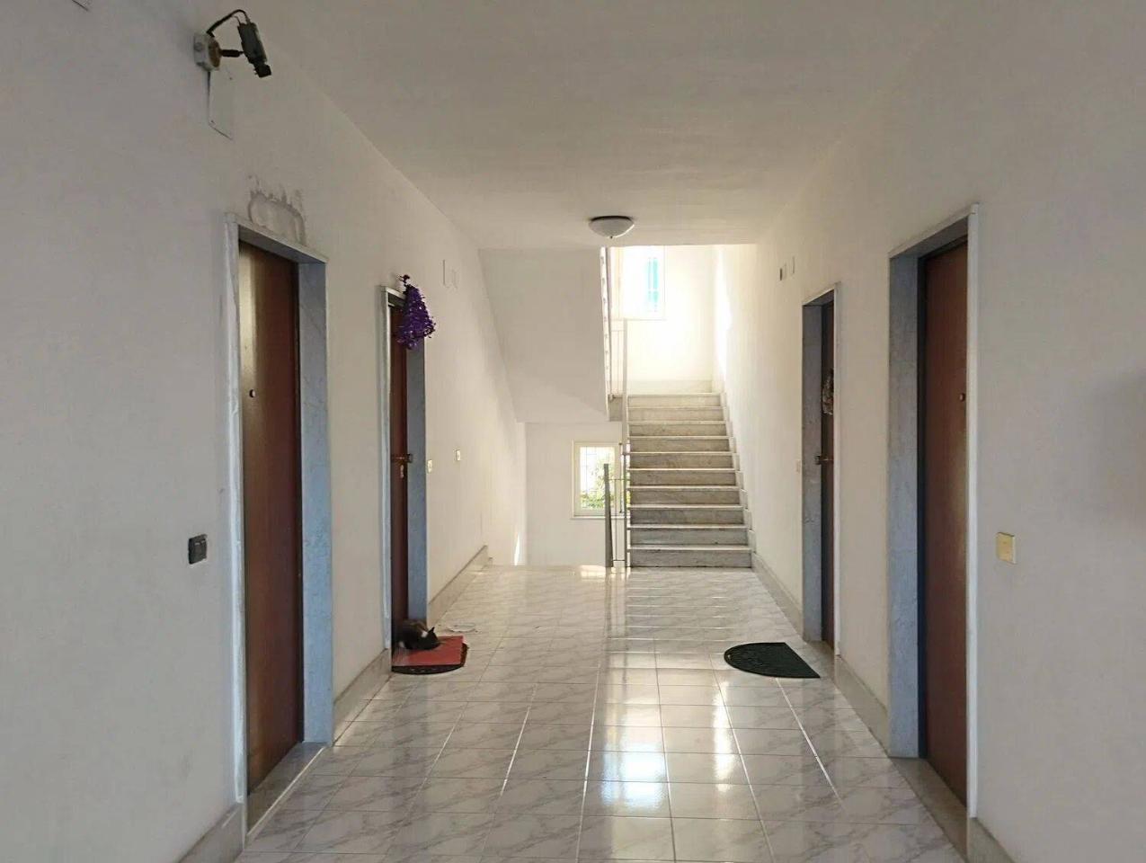 immagine annuncio 5 di 8