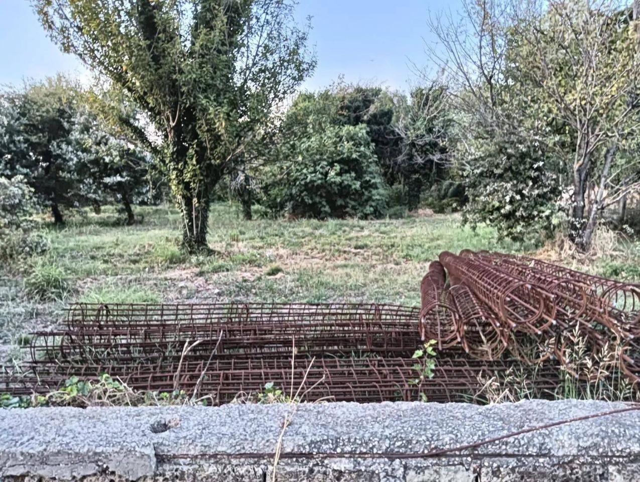 immagine annuncio 6 di 14