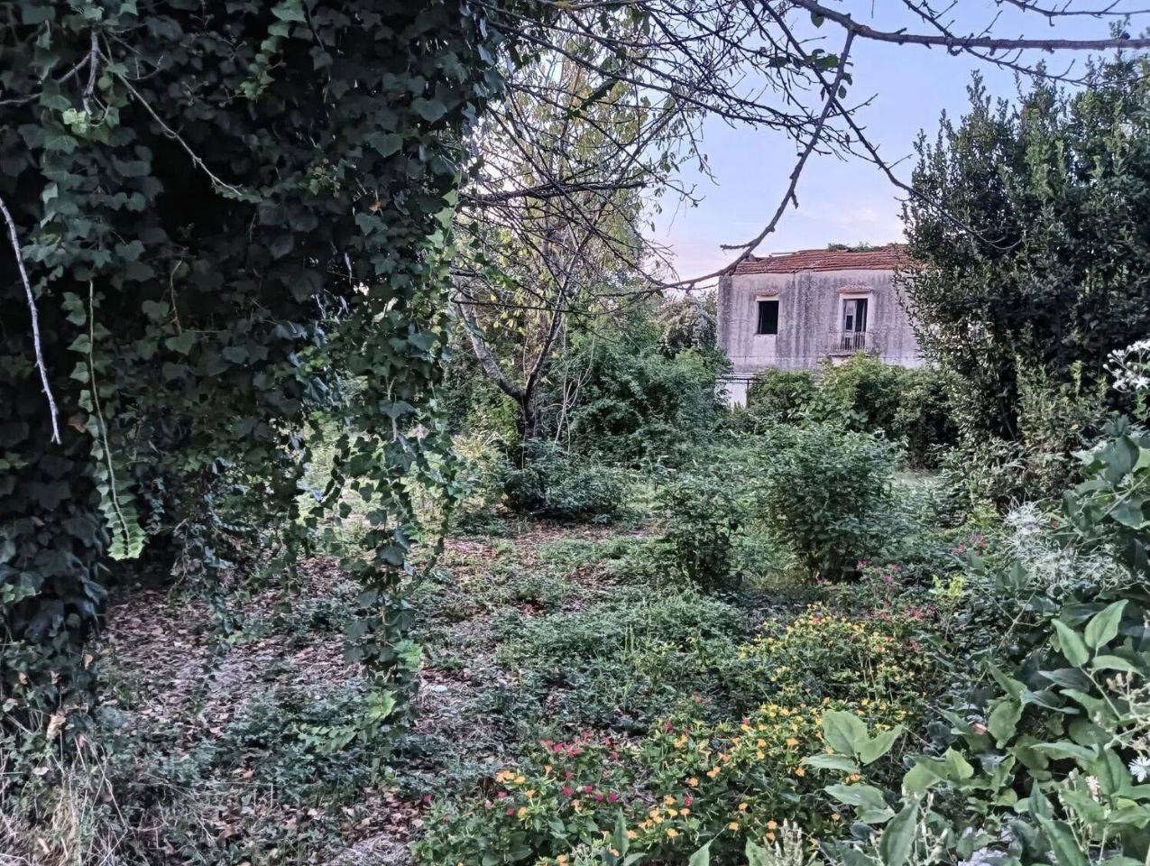 immagine annuncio 7 di 14