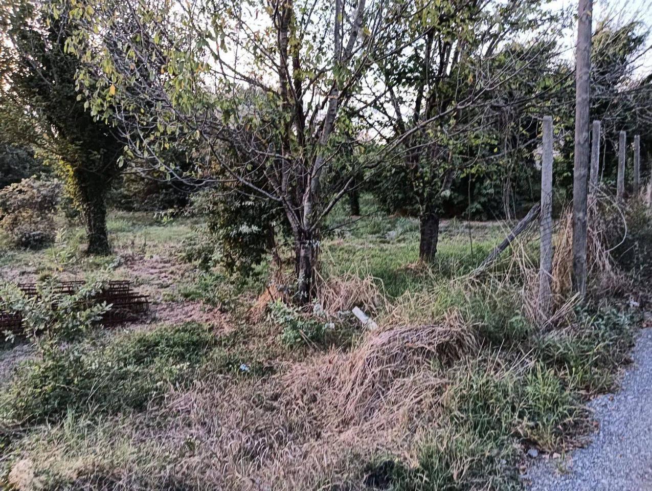 immagine annuncio 8 di 14