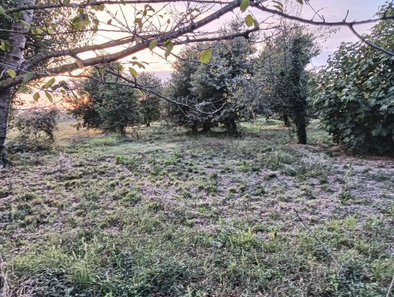 immagine annuncio 12 di 14