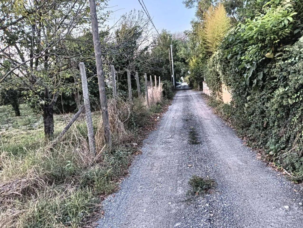immagine annuncio 11 di 14