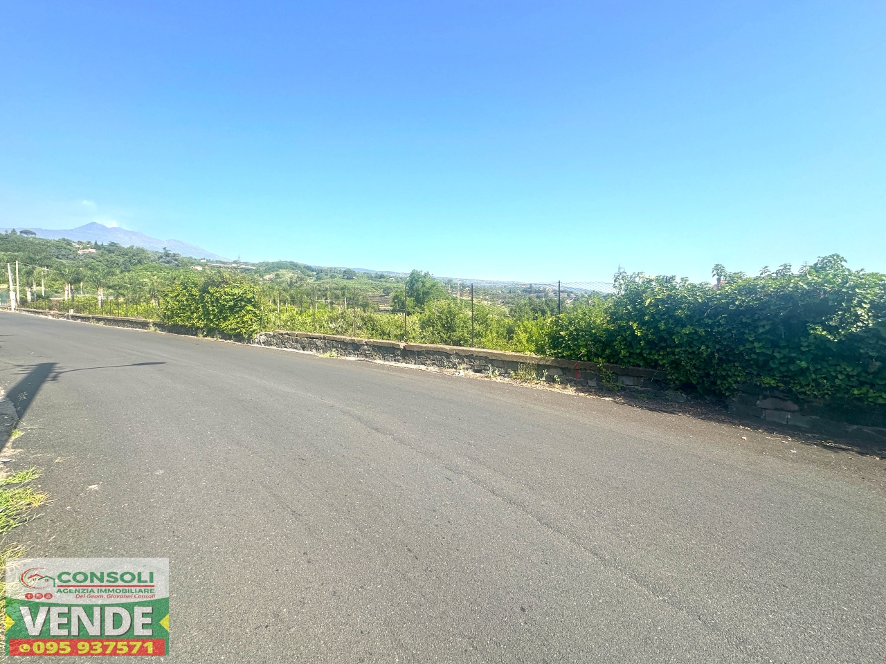 immagine annuncio 5 di 6