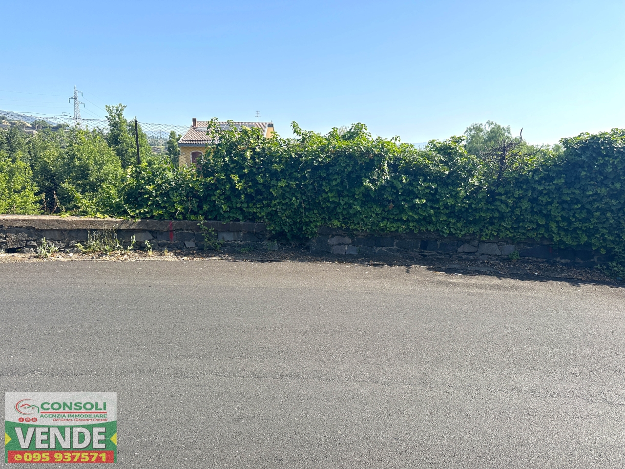 immagine annuncio 3 di 6