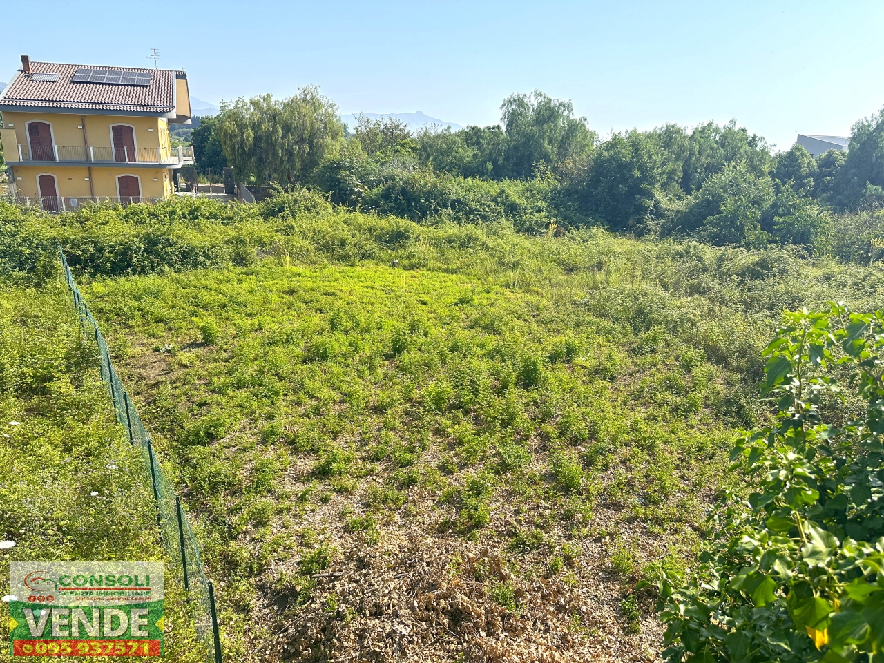 immagine annuncio 1 di 6