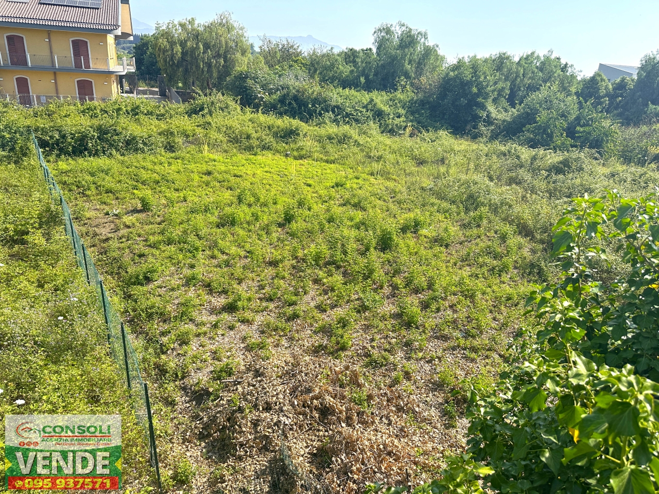 immagine annuncio 2 di 6