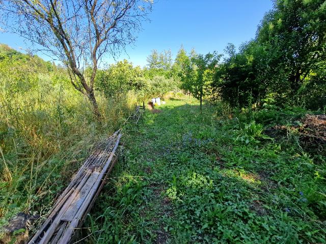 Agricultural land in {3}, Via Giovanni Fattori - Photo 1