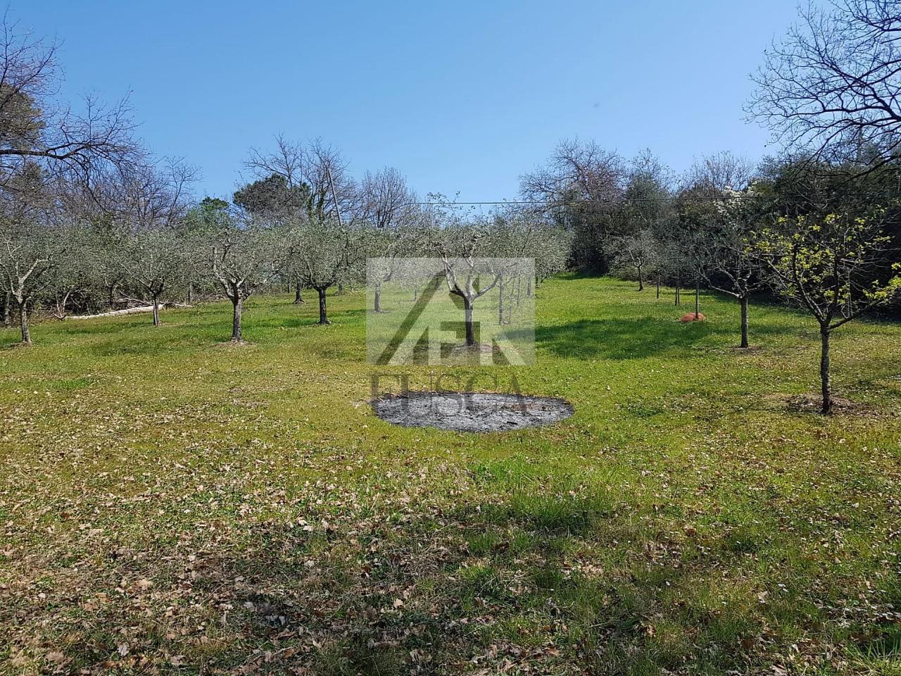 immagine annuncio 7 di 9