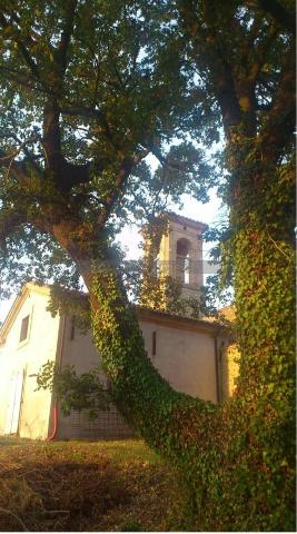 Country house or cottage in Vocabolo Casella 74b, Torgiano - Photo 1