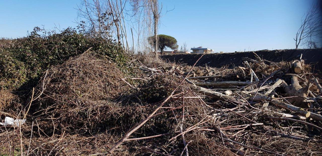 immagine annuncio 1 di 14