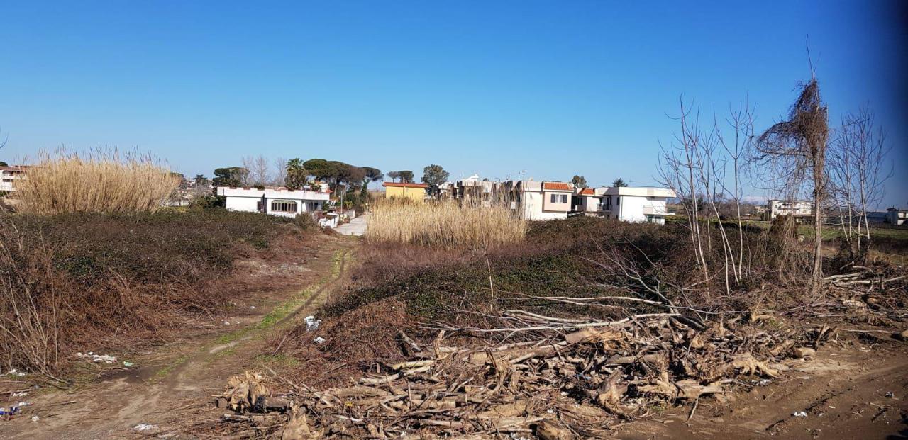 immagine annuncio 9 di 14
