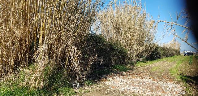 Terreno agricolo in Via Signorelle a Patria, Giugliano in Campania - Foto 1