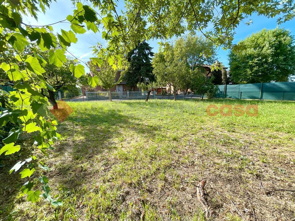 immagine annuncio 4 di 12