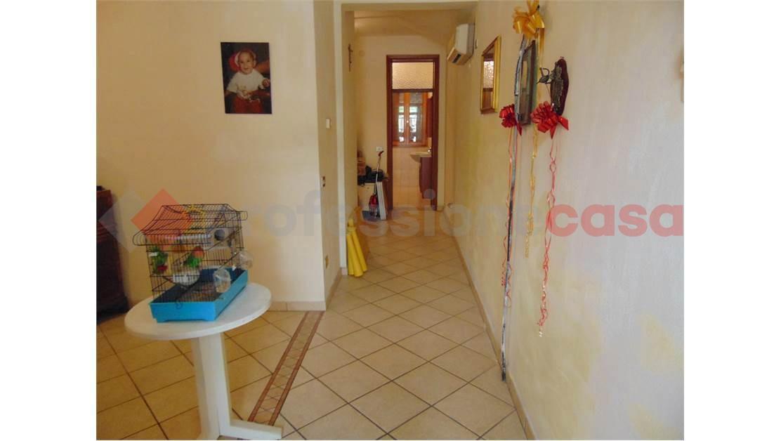 immagine annuncio 6 di 14
