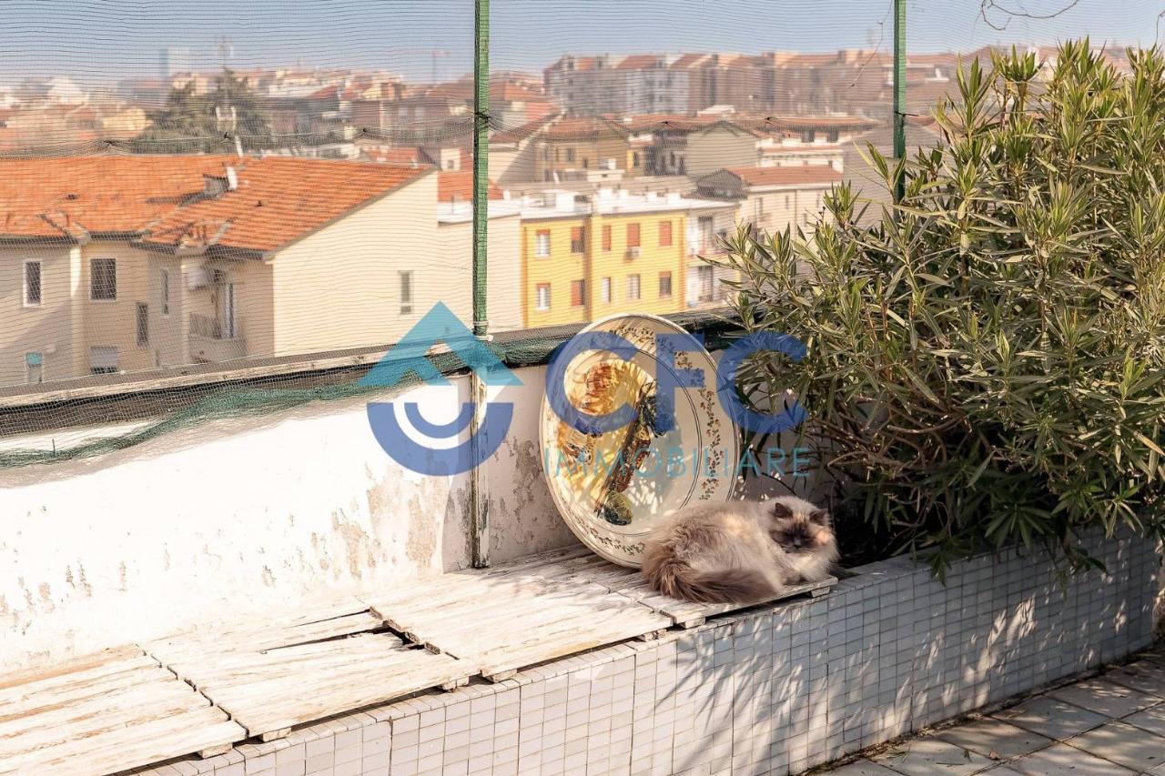 immagine annuncio 14 di 15