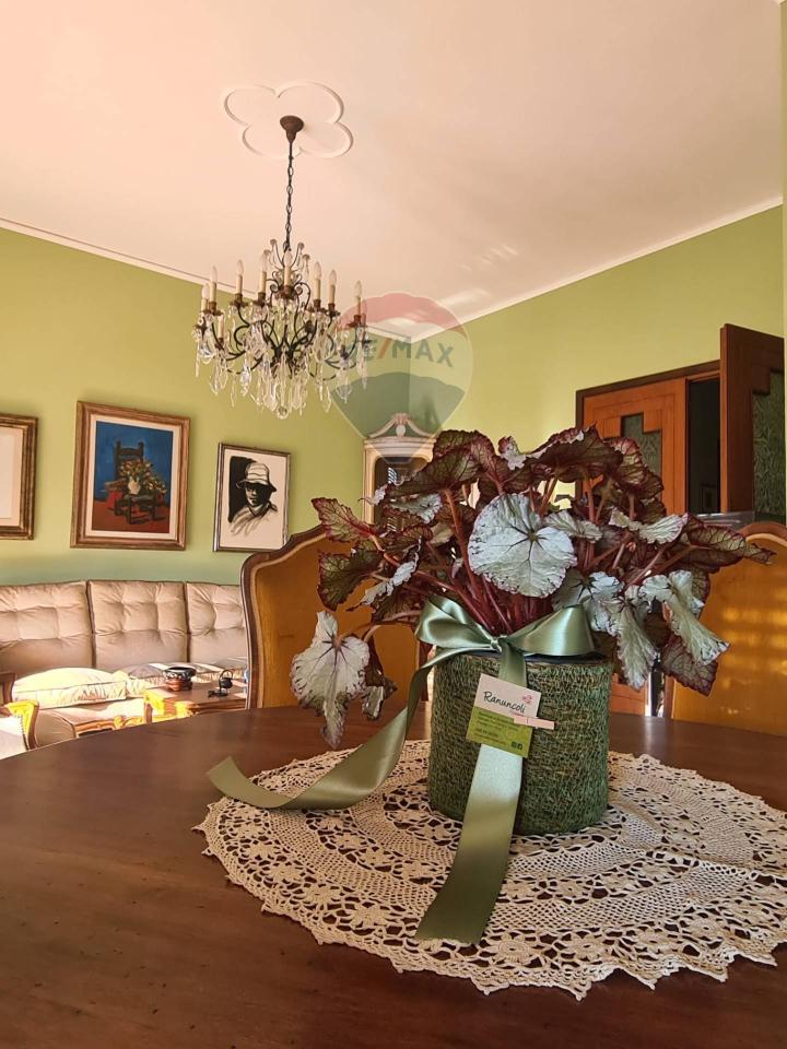 immagine annuncio 4 di 14