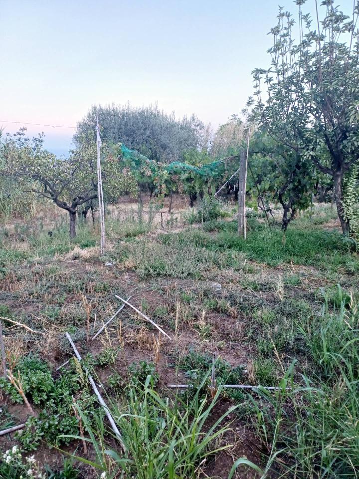 immagine annuncio 9 di 11