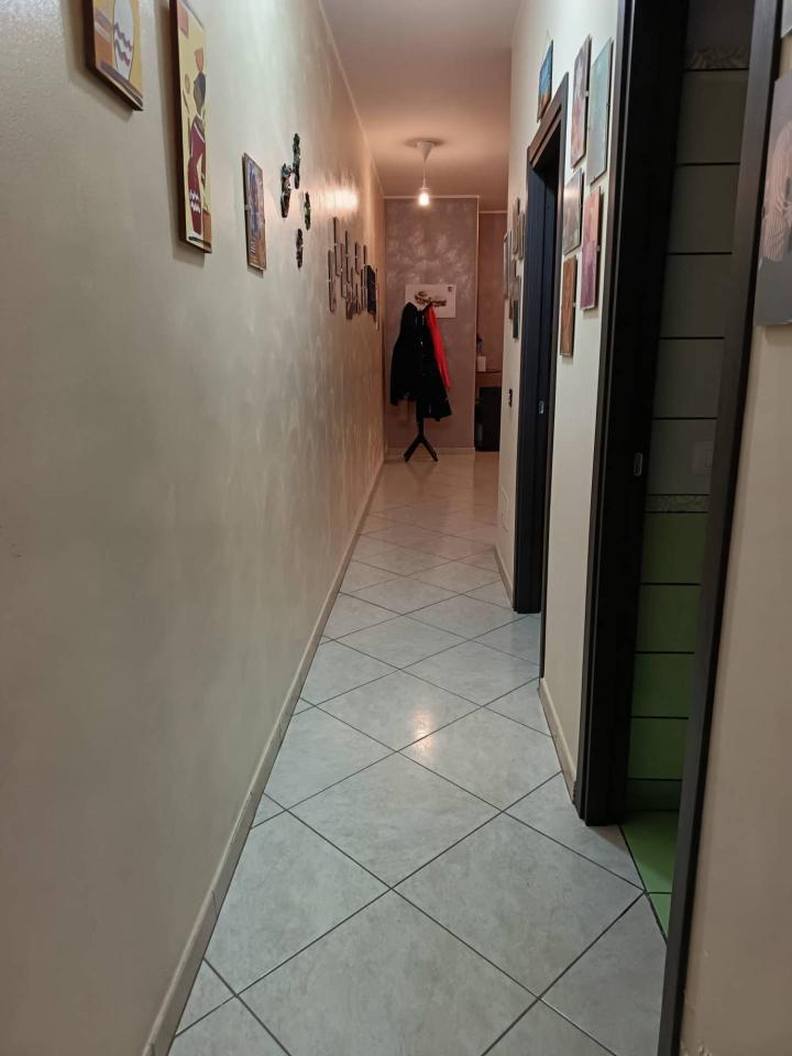 immagine annuncio 2 di 6