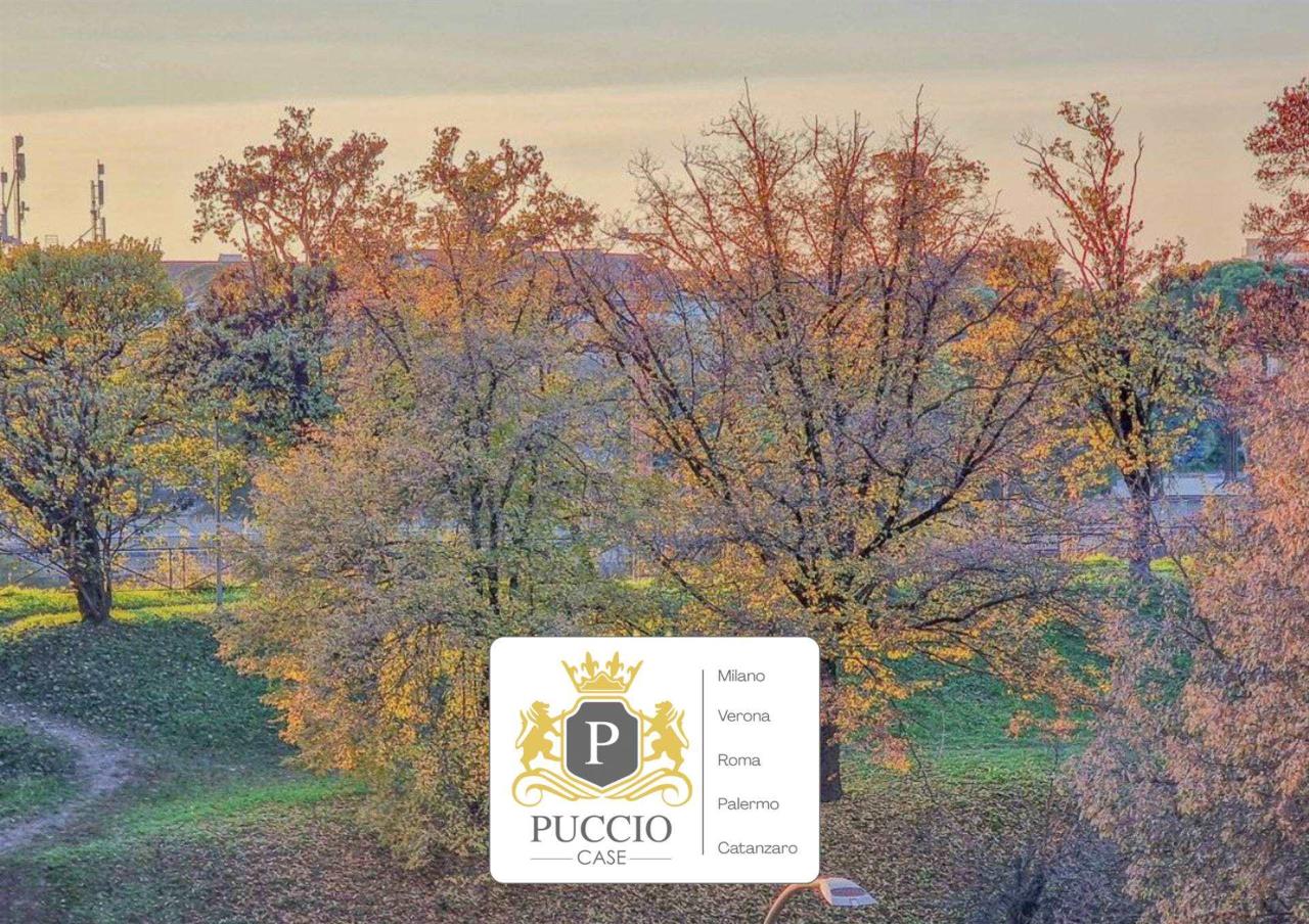 immagine annuncio 8 di 15