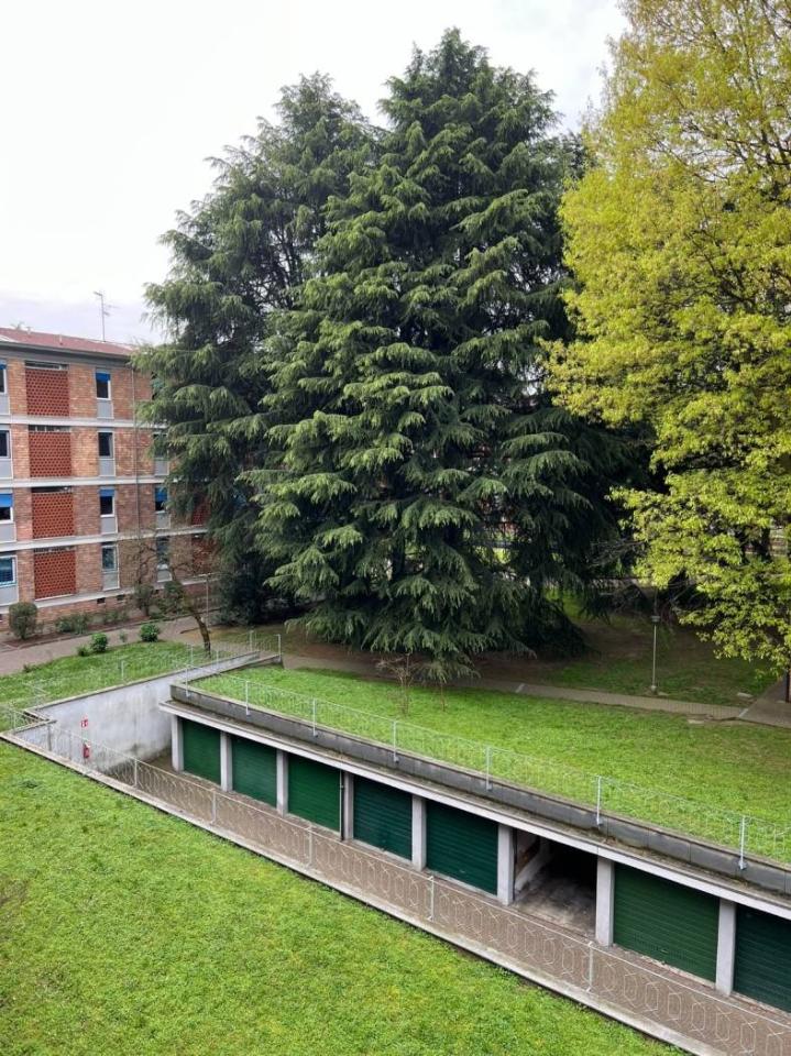 immagine annuncio 5 di 14