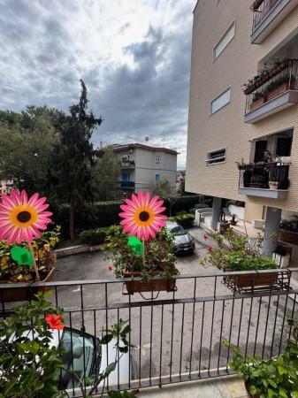 immagine annuncio 8 di 14