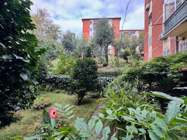 immagine annuncio 9 di 14