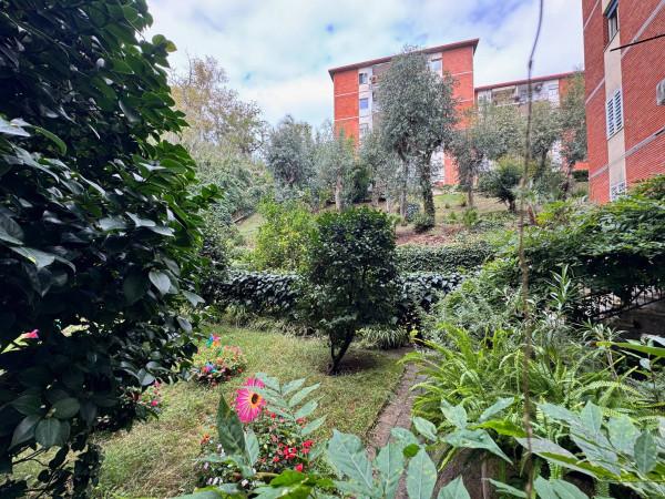 immagine annuncio 10 di 14