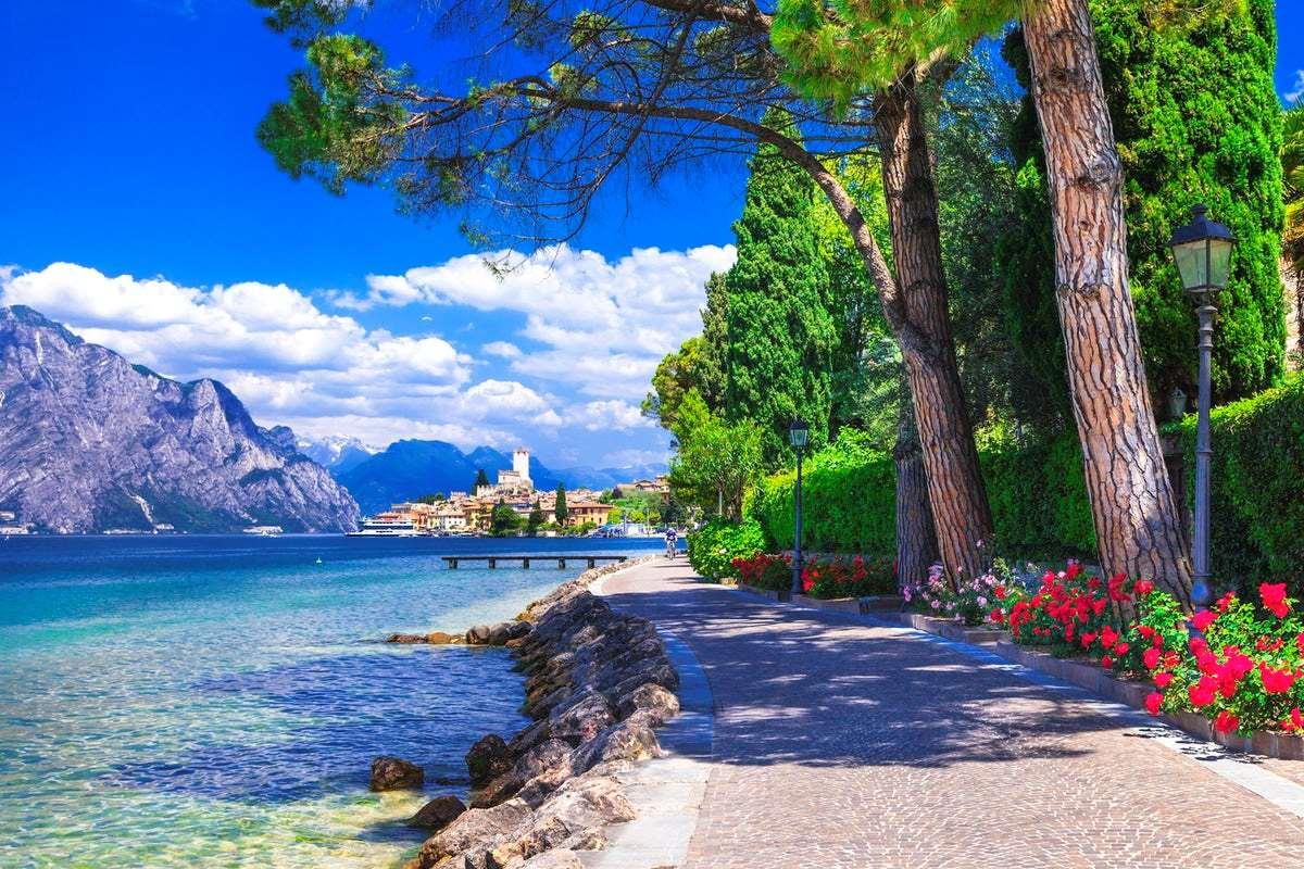 immagine annuncio 14 di 15