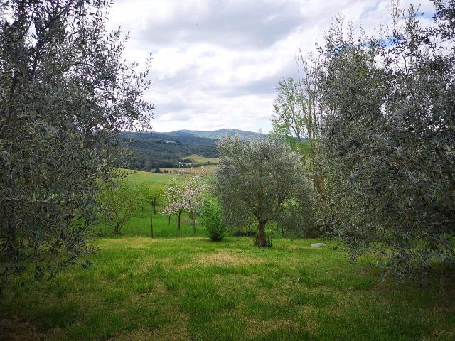 Apartament, Monteriggioni - Photo 1