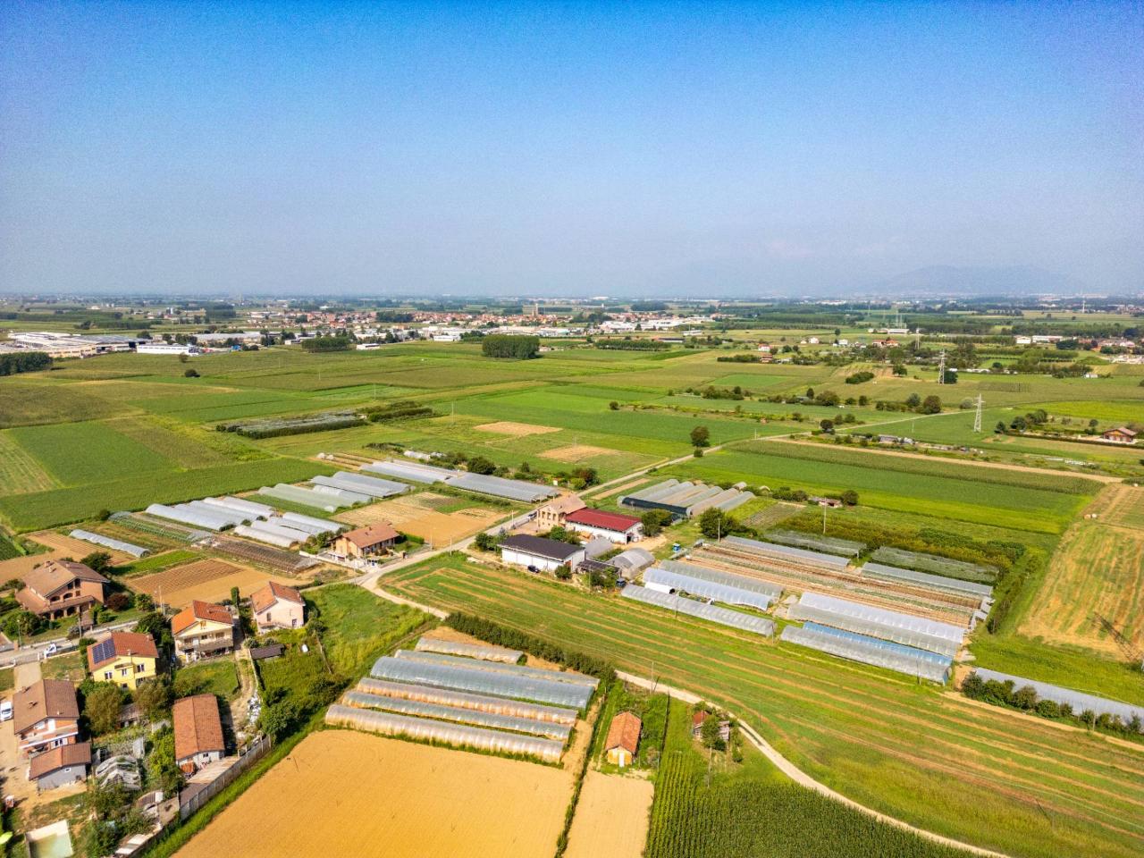 immagine annuncio 10 di 11
