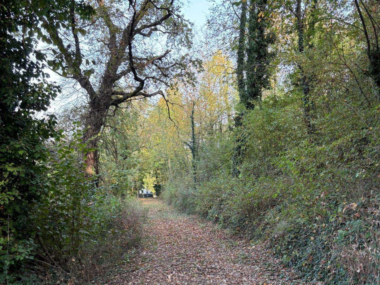 immagine annuncio 13 di 14