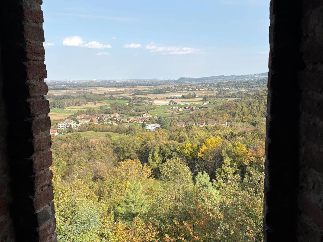 immagine annuncio 7 di 14