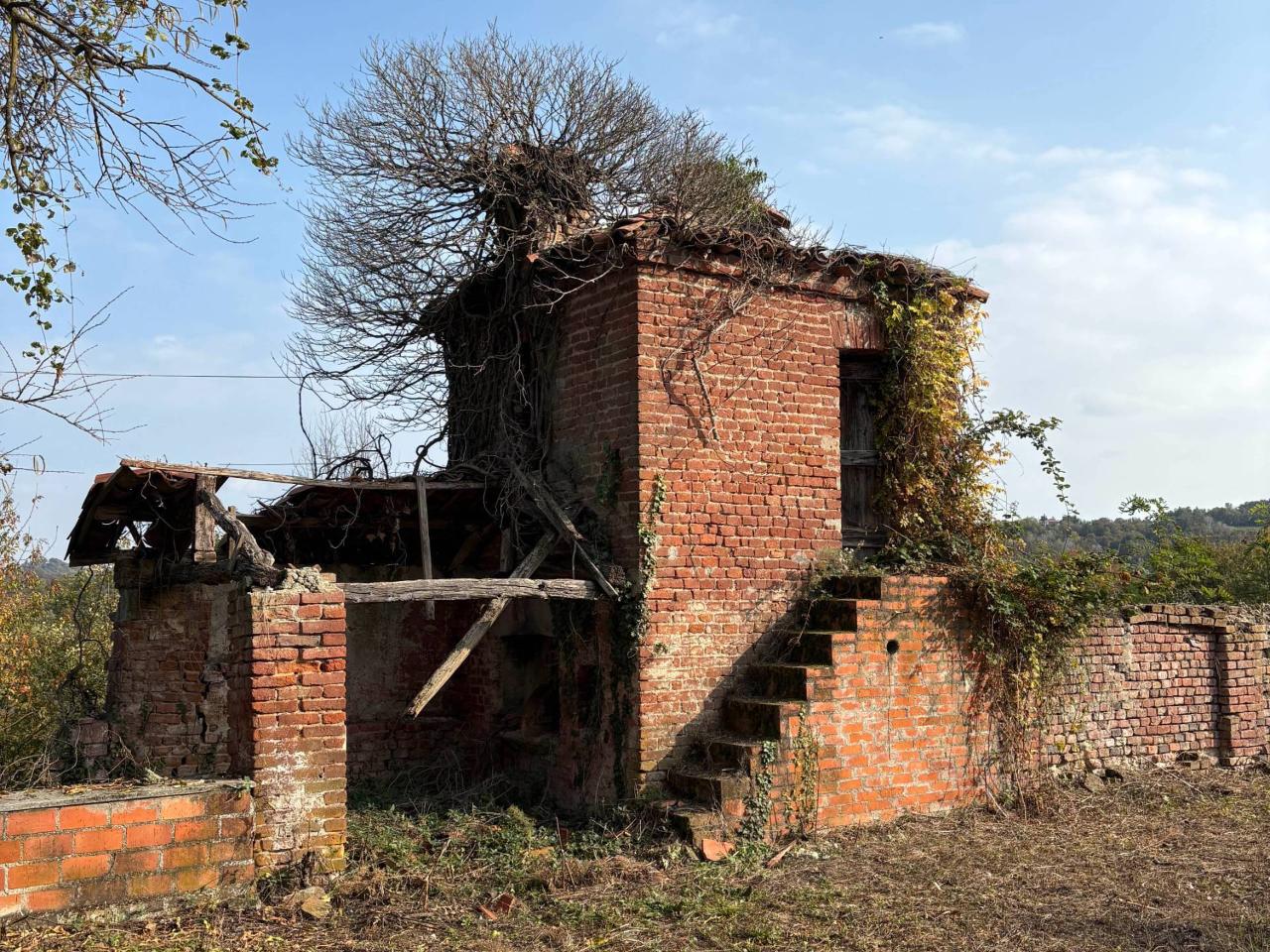 immagine annuncio 3 di 14