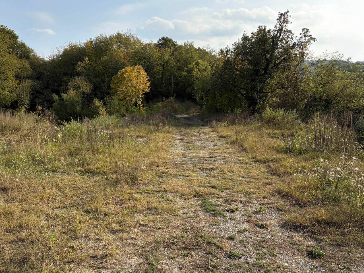 immagine annuncio 12 di 14