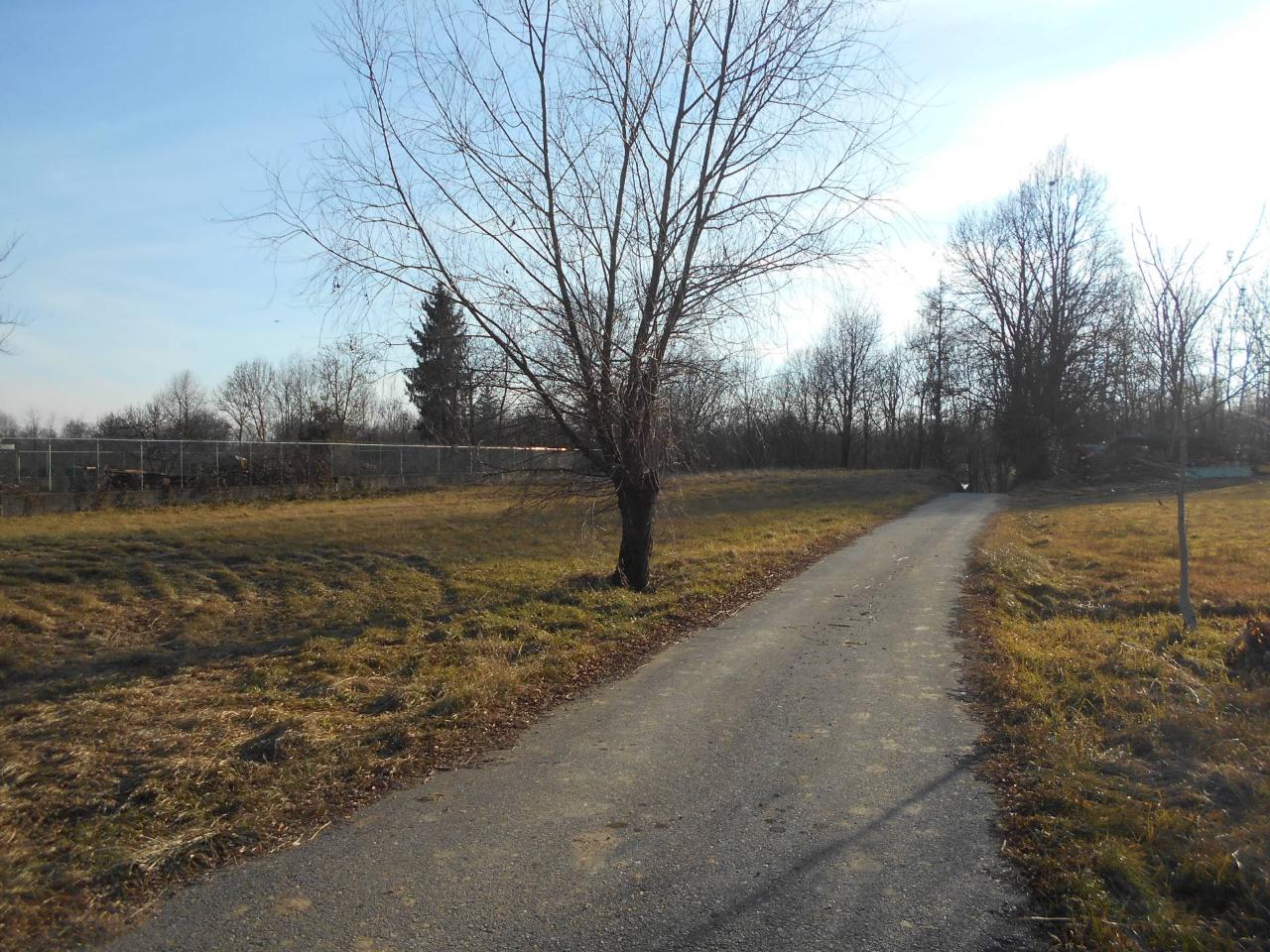 immagine annuncio 2 di 6