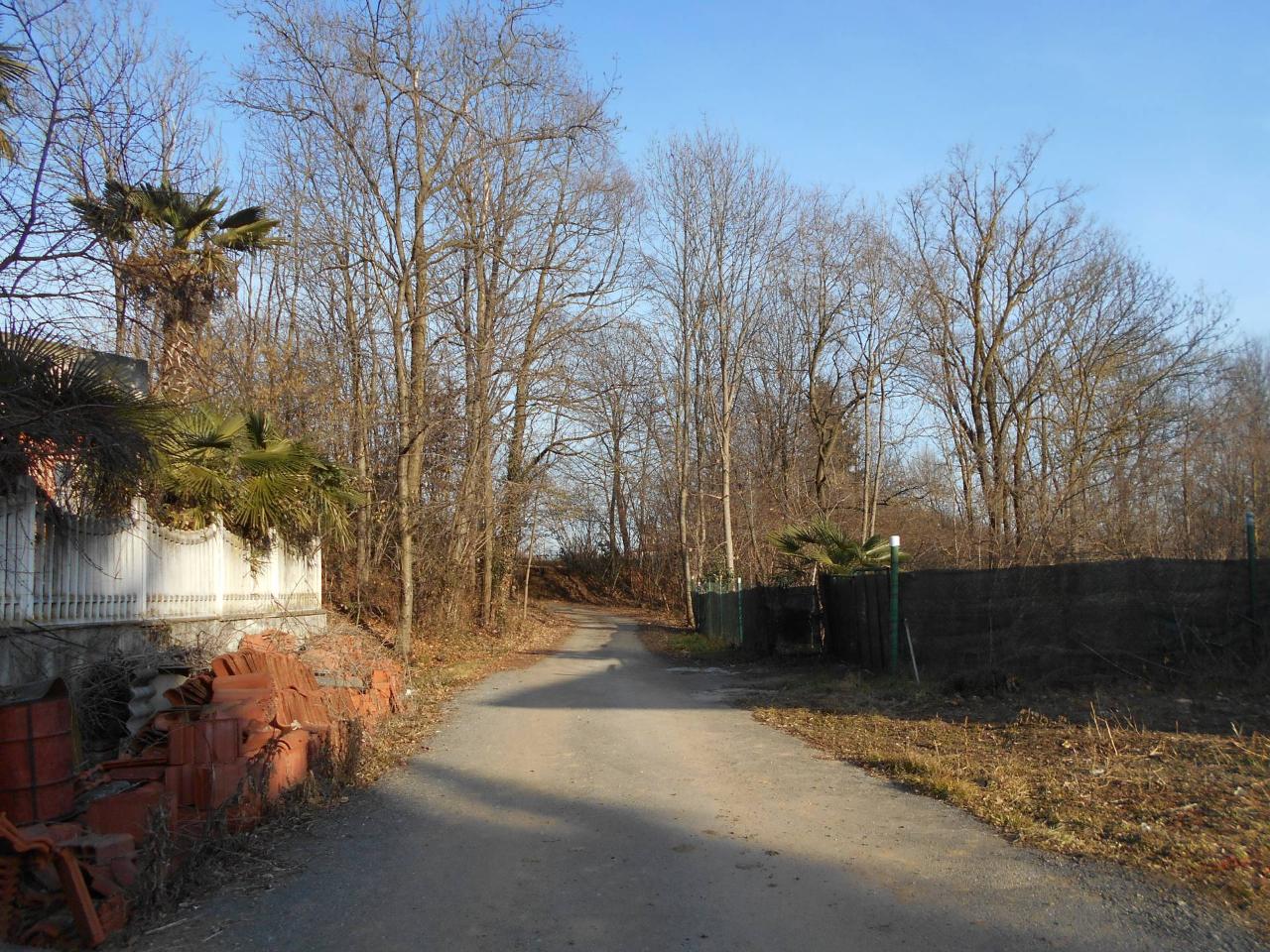 immagine annuncio 4 di 6