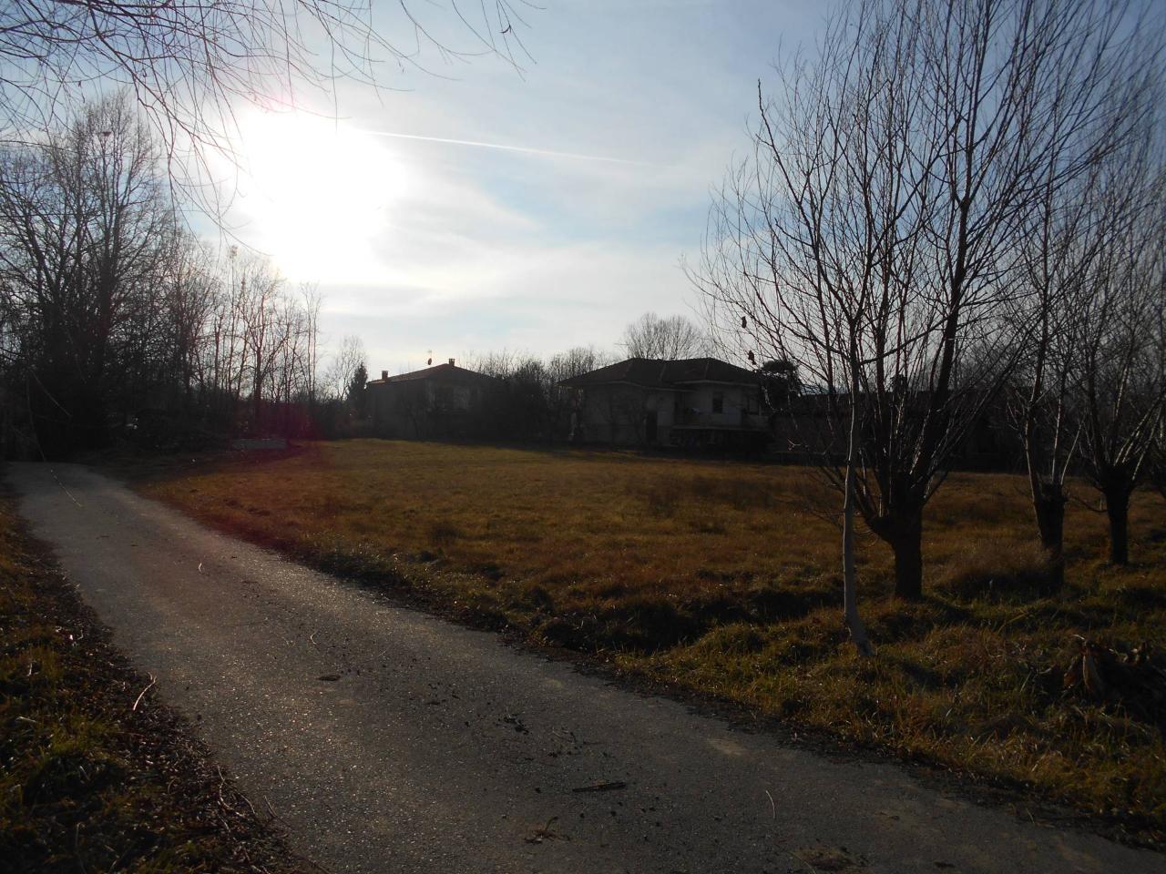 immagine annuncio 1 di 6