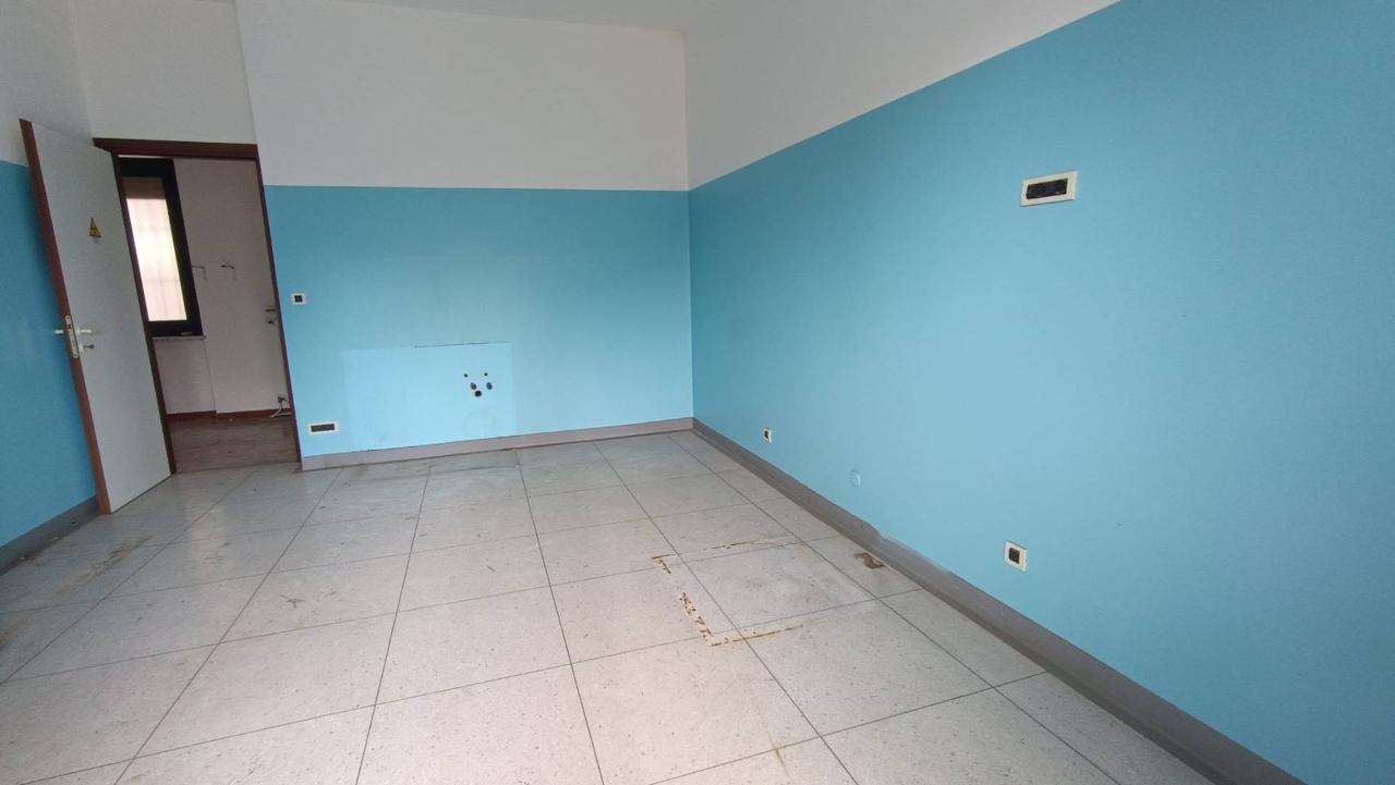 immagine annuncio 7 di 14