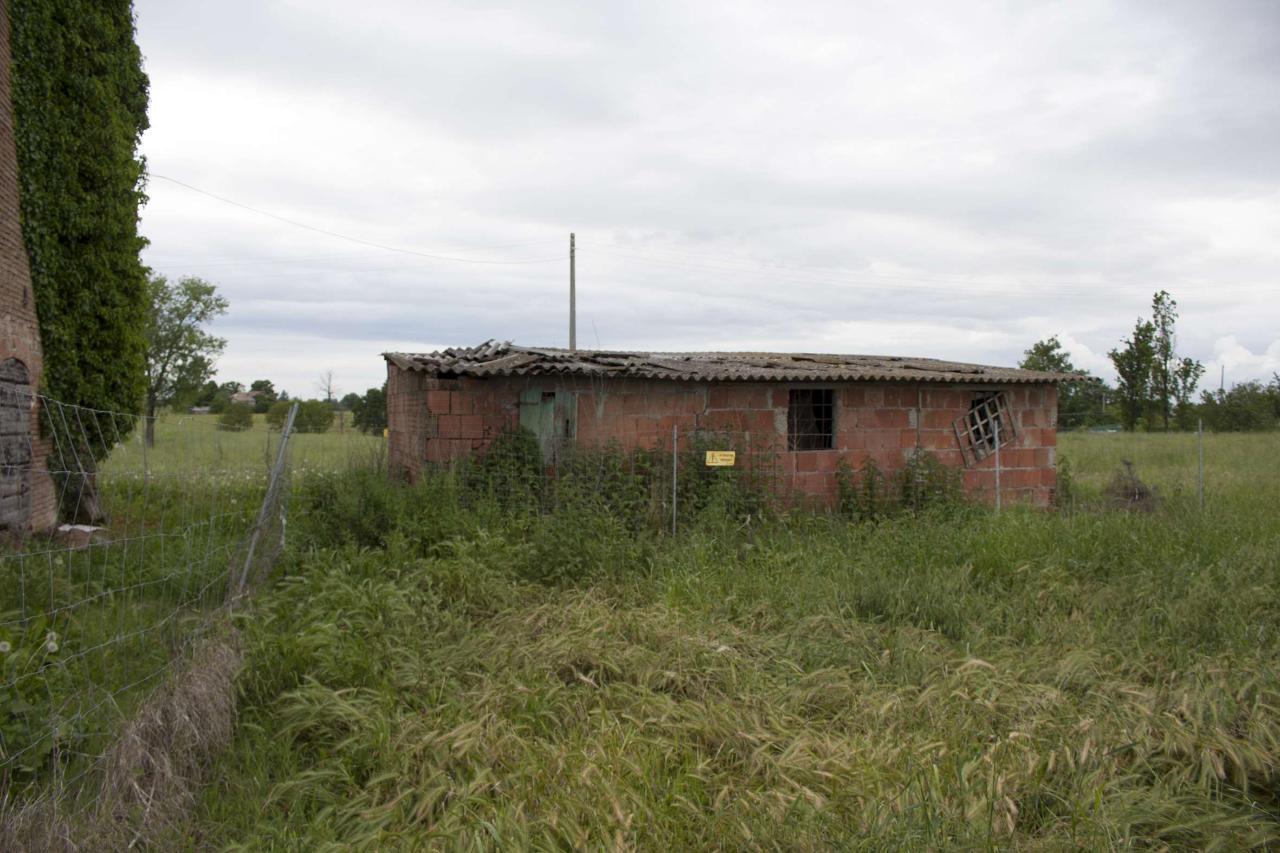 immagine annuncio 2 di 6