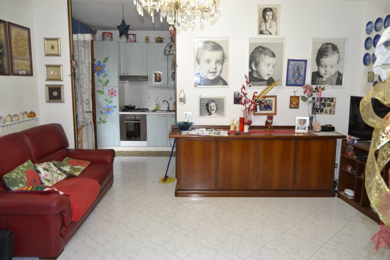 immagine annuncio 3 di 12