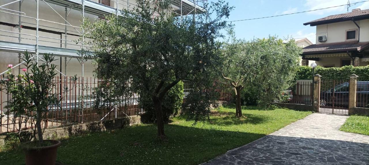 immagine annuncio 10 di 15